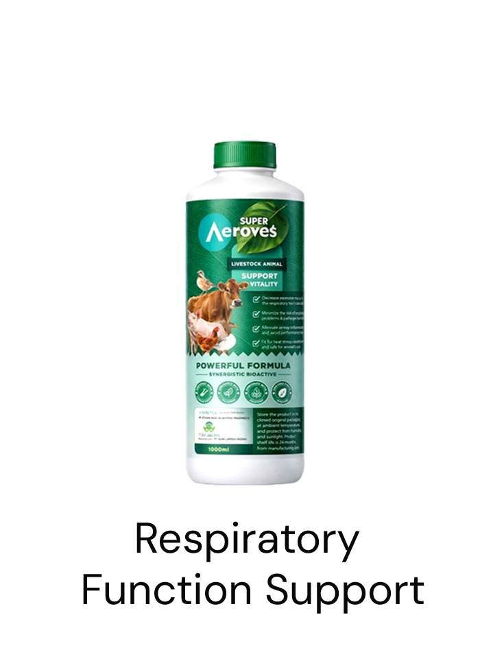 Super Aeroves Respiratory